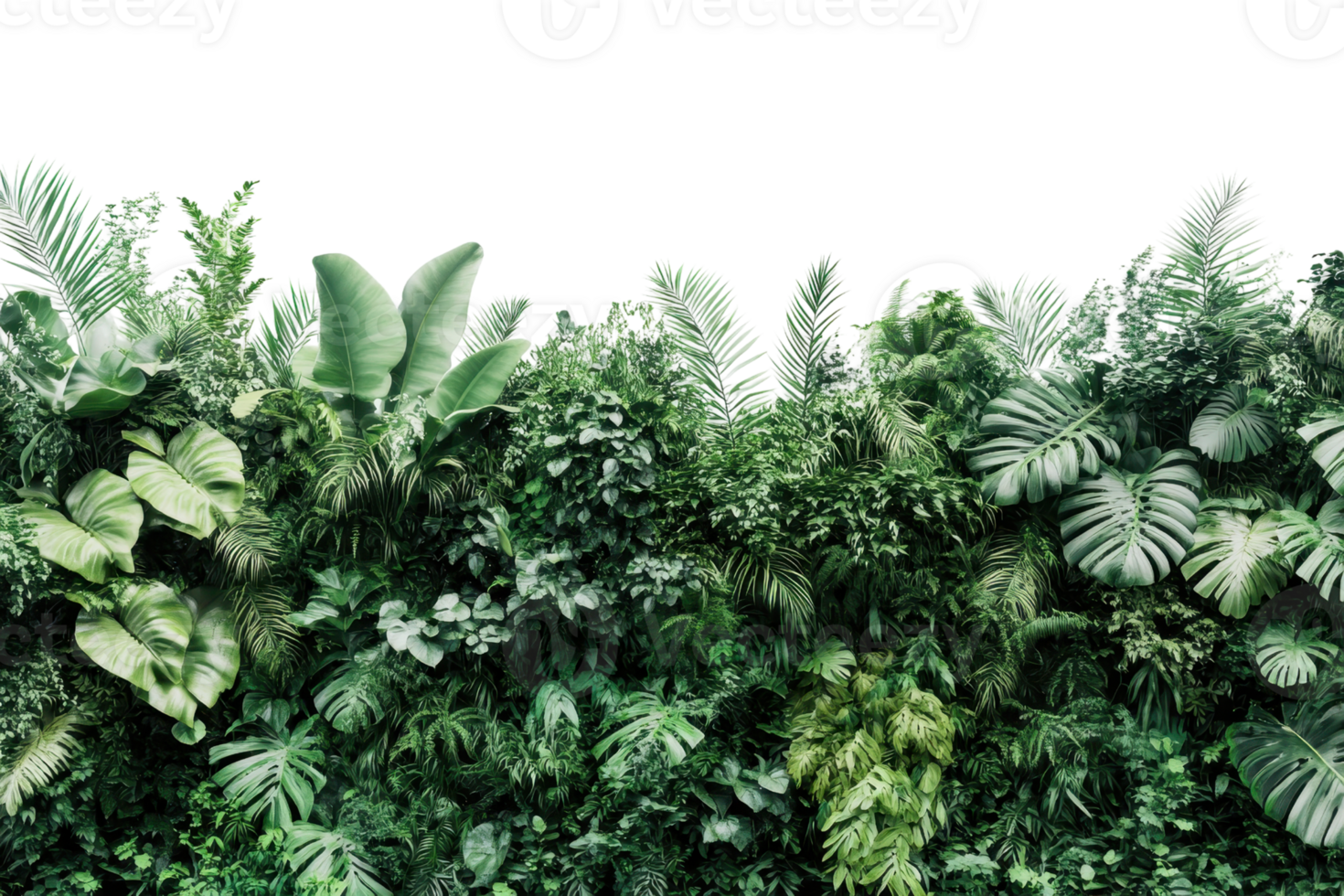 Lush green tropical foliage creating a dense, vibrant jungle backdrop, perfect for nature-themed projects and designs. png