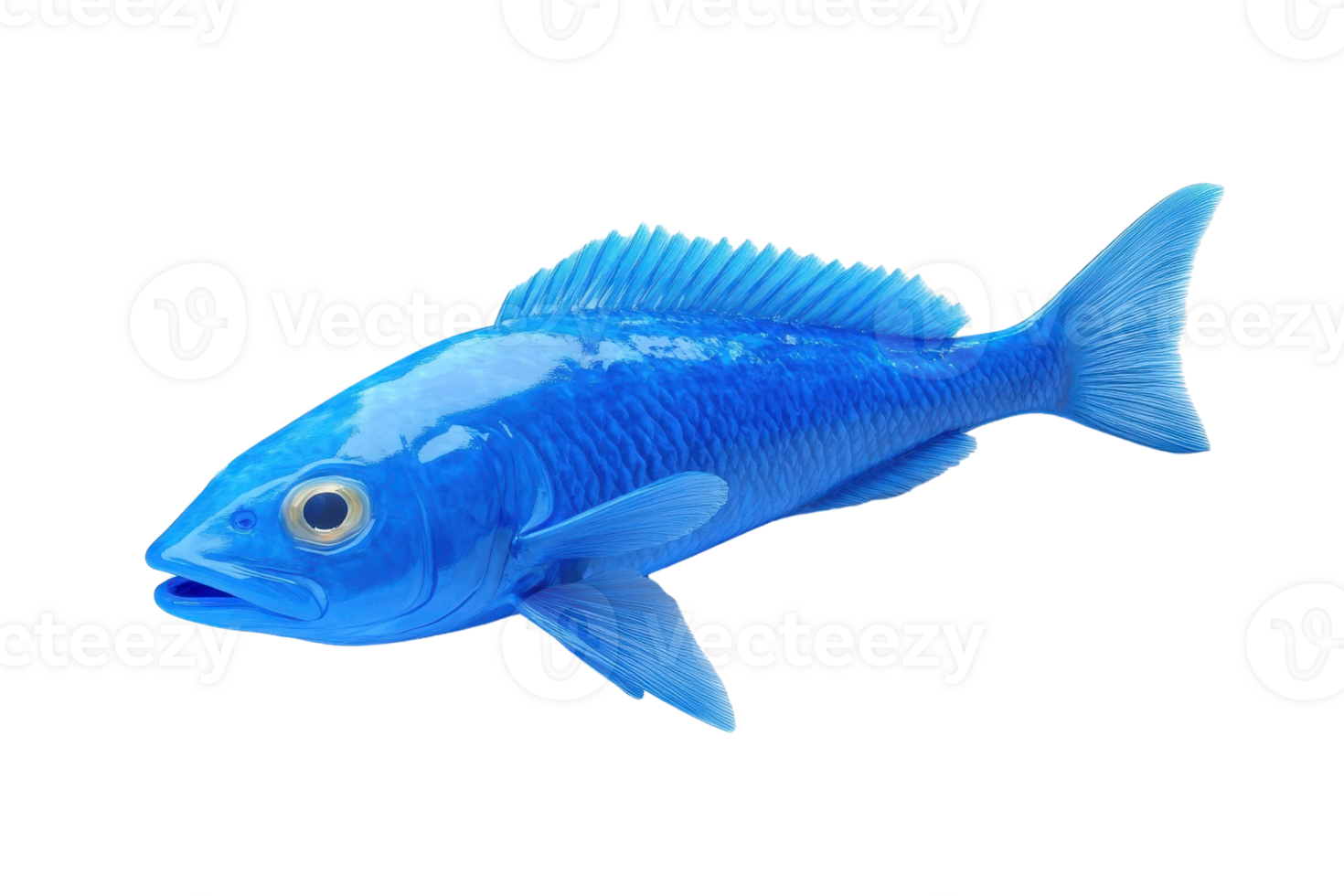 A detailed image of a blue fish, showcasing vibrant color and realistic texture, isolated on a transparent background. png