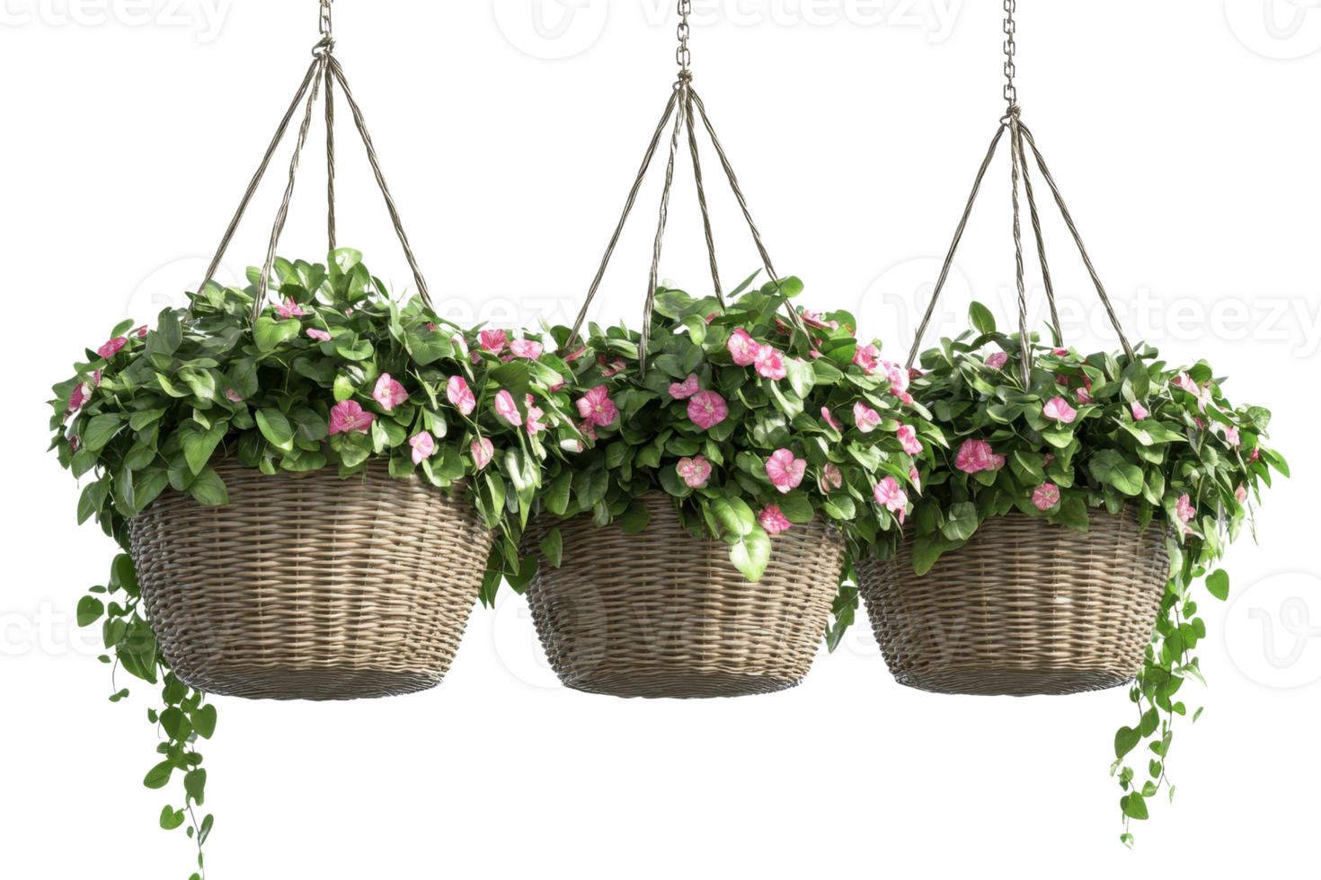 Three hanging wicker baskets filled with vibrant green foliage and pink flowers, creating a charming and natural garden decor. png