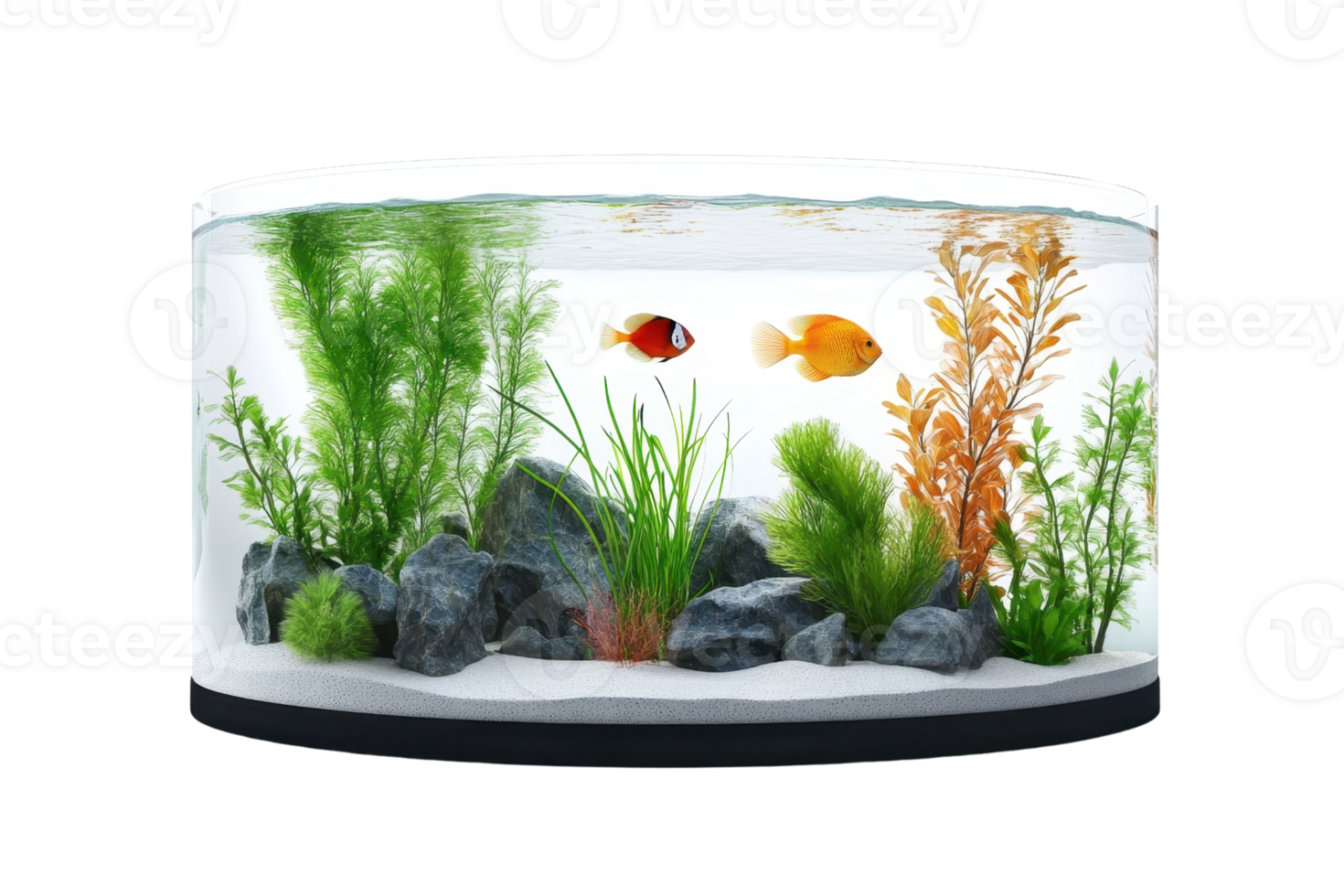 Beautiful aquarium with colorful fish, plants, and rocks, perfect for adding a serene aquatic touch to any space. png