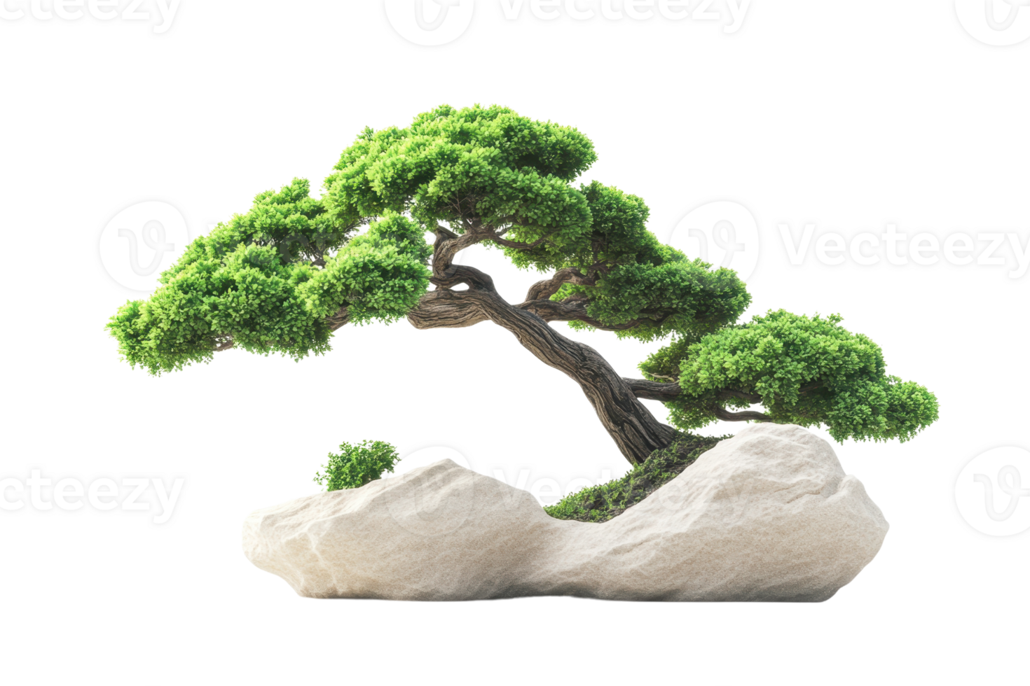 Serene bonsai tree with lush green foliage, perched on a smooth rock base, perfect for relaxing, zen, and tranquil settings. png