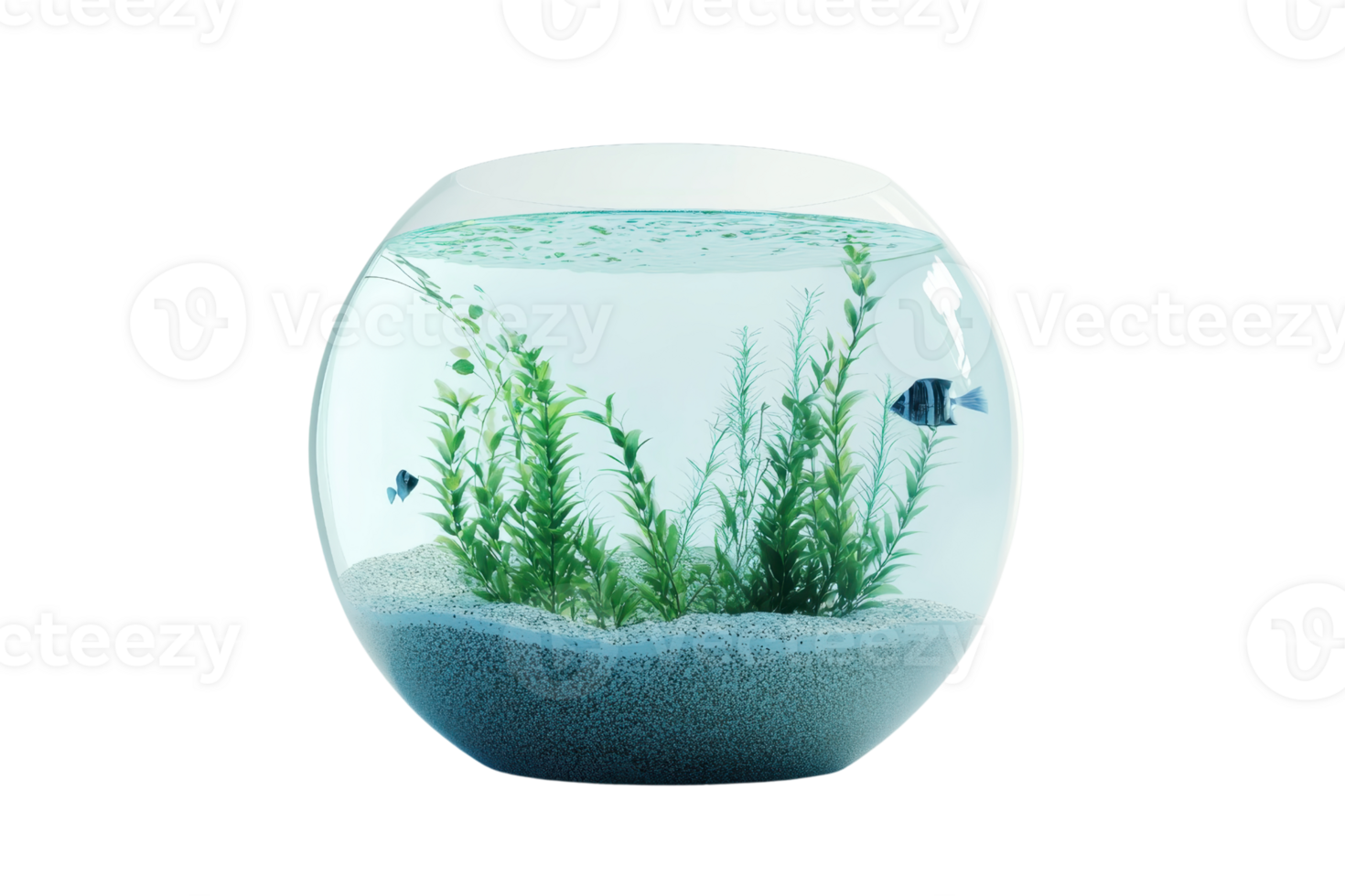 A round fishbowl with aquatic plants and fish, set on a transparent background. ideal for home decor or pet-related projects. png