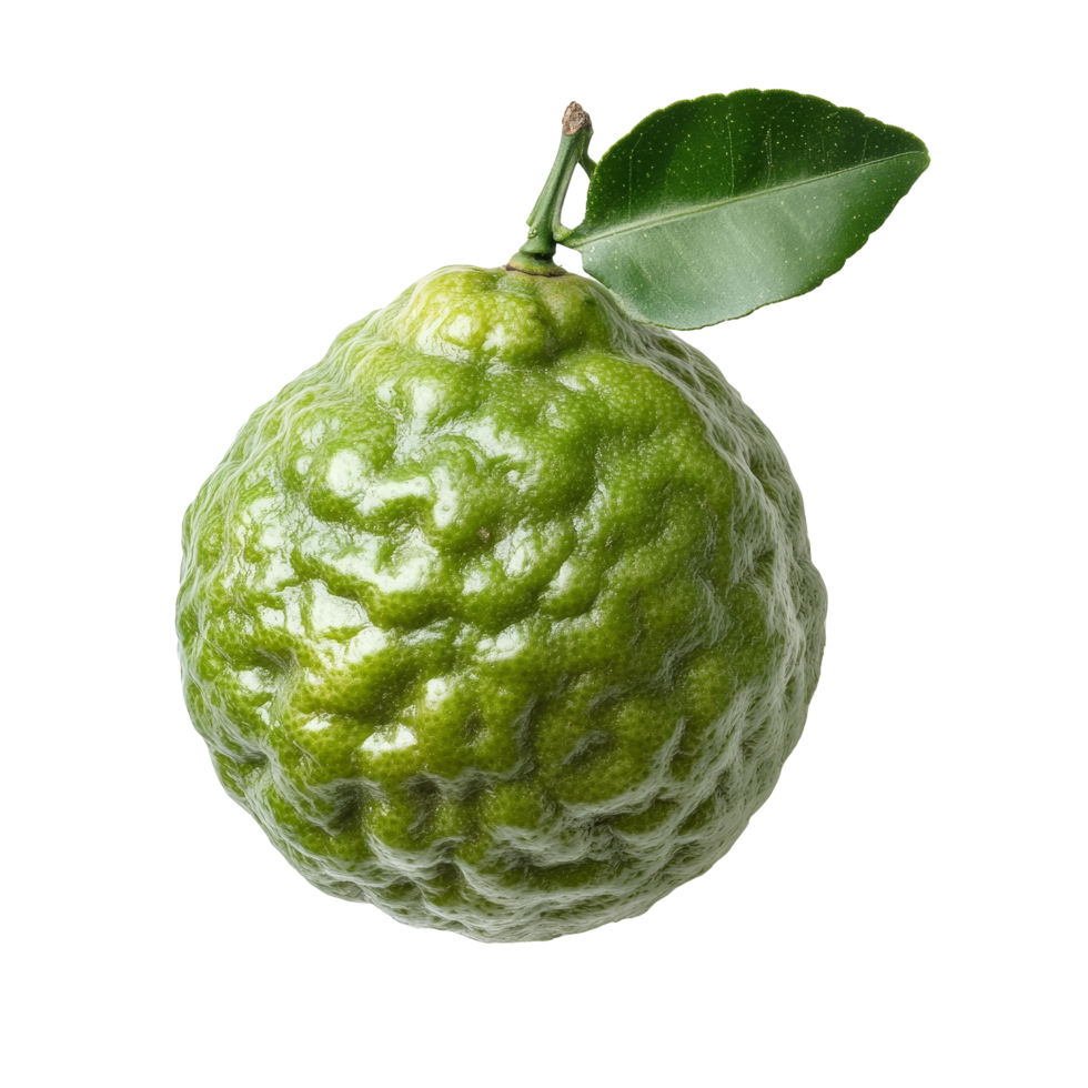 Bergamot fruit displayed on a transparent background highlighting its unique texture and green color, Bergamot fruit on transparent background png