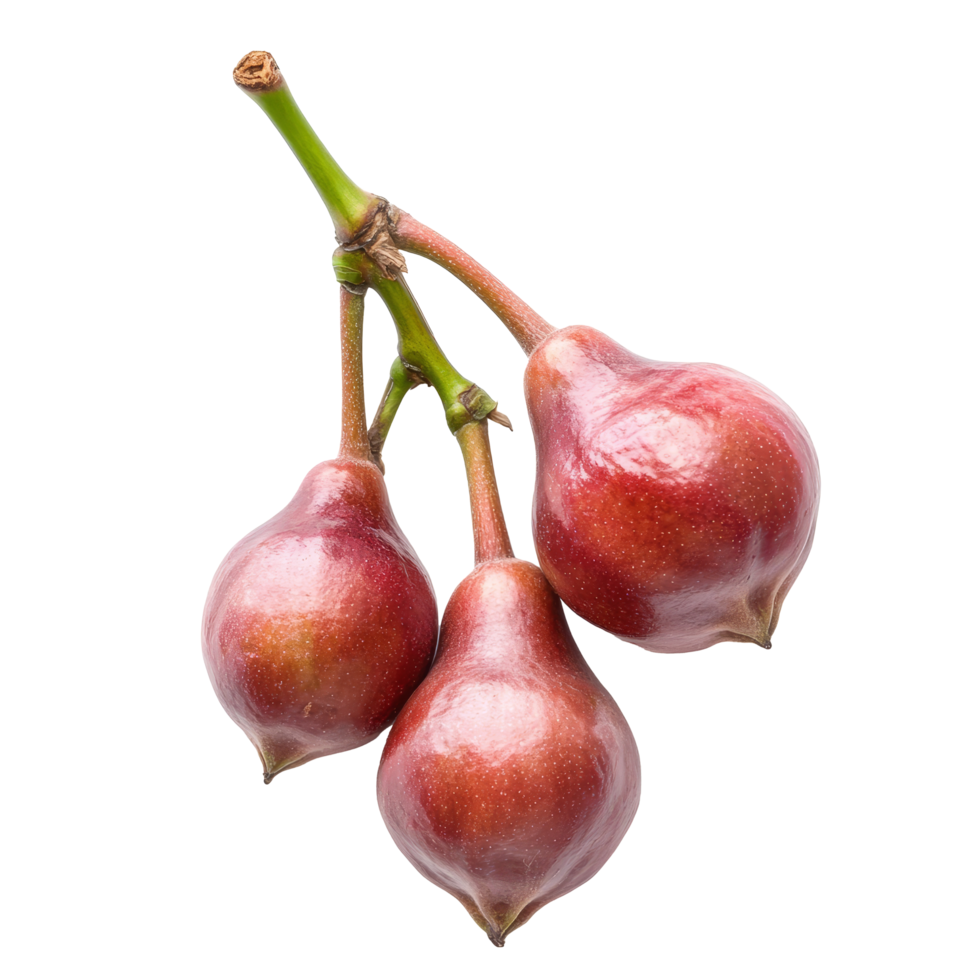 Three rose apples, also known as Syzygium jambos, displayed on a clean transparent background for clear visual appeal, Syzygium jambos or rose apple isolated on transparent background png