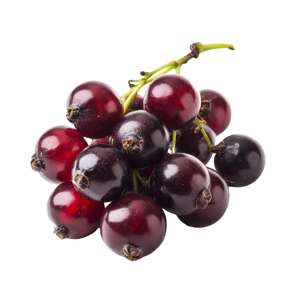Fresh bengal currants and carandas plums isolated on a clean transparent background for culinary use, bengalcurrants, carandasplum, isolated on transparent background png