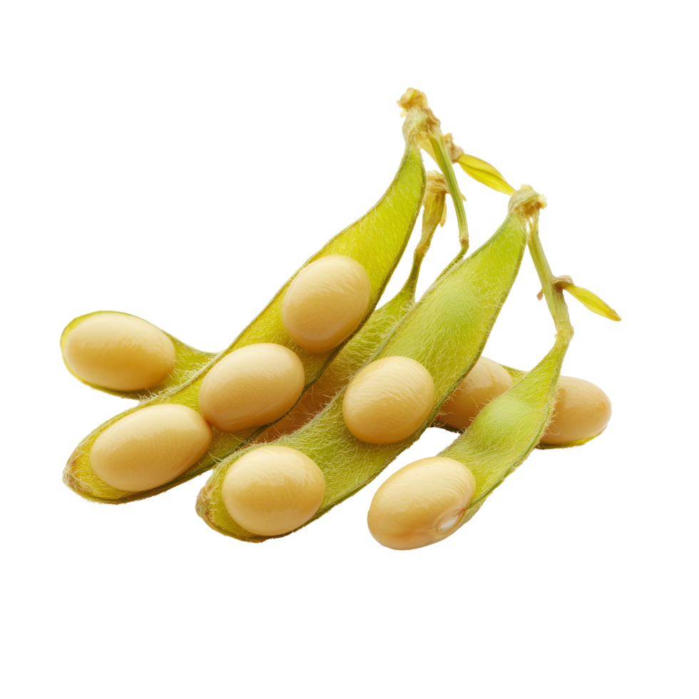 Fresh soybeans in their pods isolated on a transparent background showcasing natural agricultural produce, Soy beans isolated on transparent background png