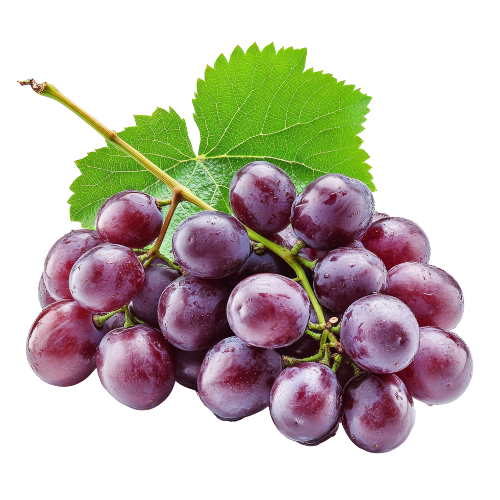Fresh cluster of grapes isolated on a clean transparent background showcasing vibrant color and texture, Fresh Grapes Cluster Isolated isolated on transparent background png