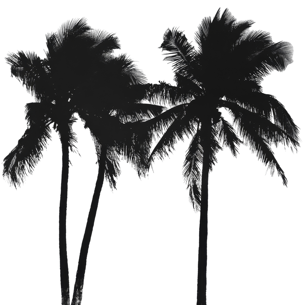 Silhouetted palm trees against a soft, muted background at sunset, creating a tranquil tropical atmosphere, palm trees silhouettes png