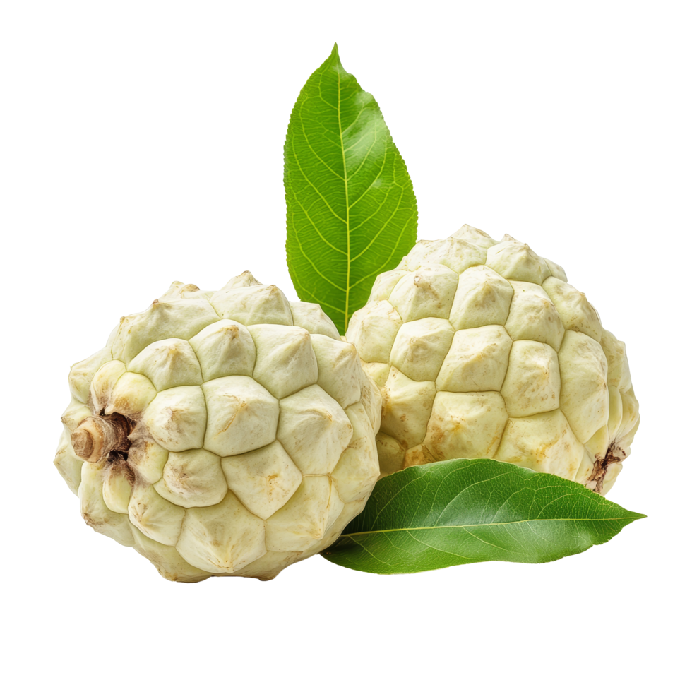Fresh custard apples with green leaves isolated on a clean transparent background showcasing their natural beauty, Fresh custard apple with leaf isolated on transparent backgroundfile png