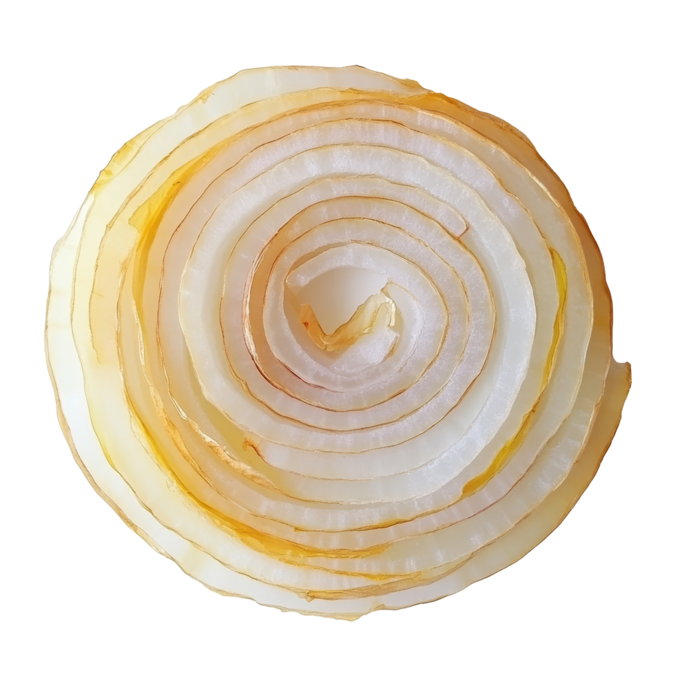 Freshly sliced onion layers arranged in a circular pattern isolated against a plain background, Onion slices isolated png