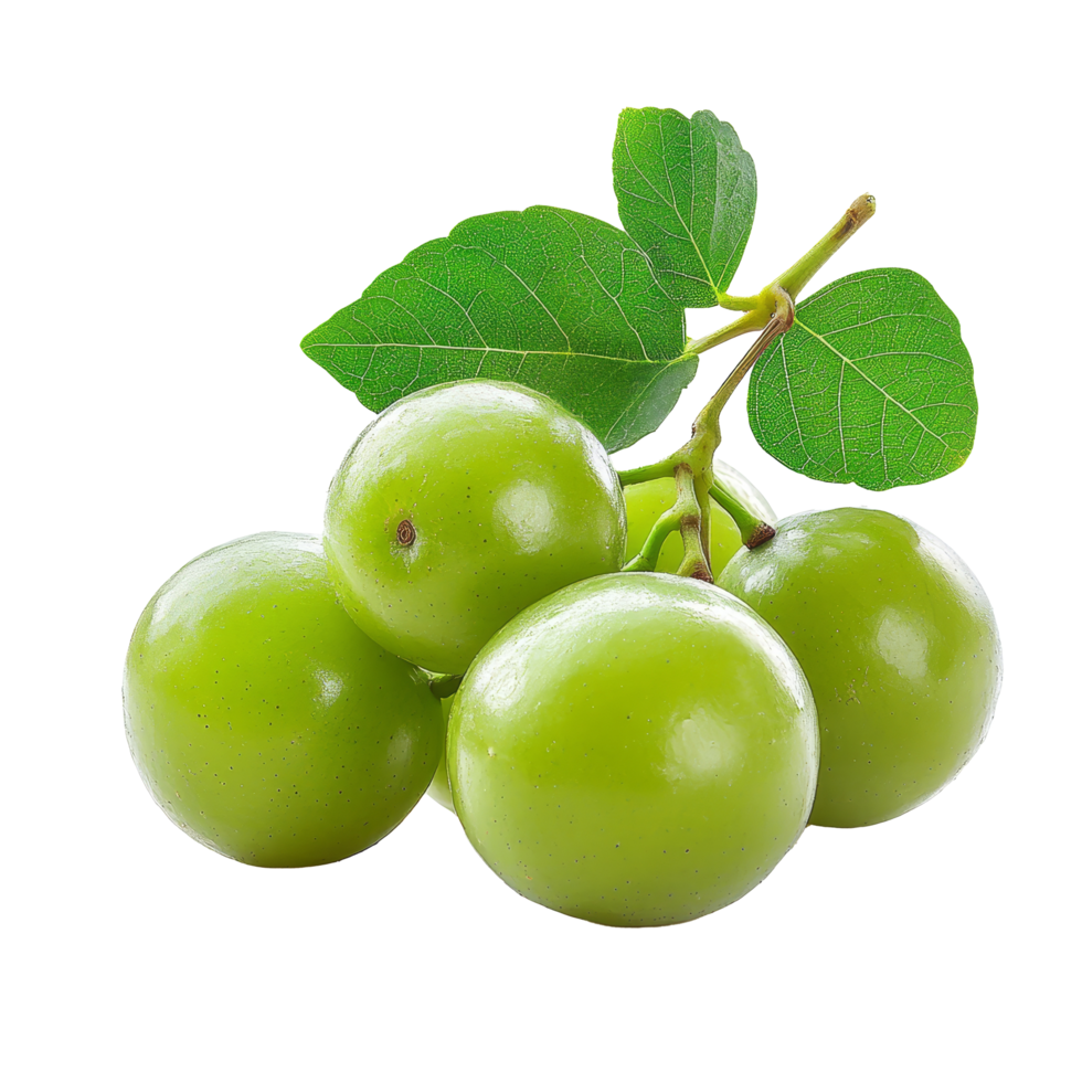 Fresh Burmese grape fruit cluster with vibrant green leaves on transparent background, burmese grape, tropical fruit isolated on transparent background png