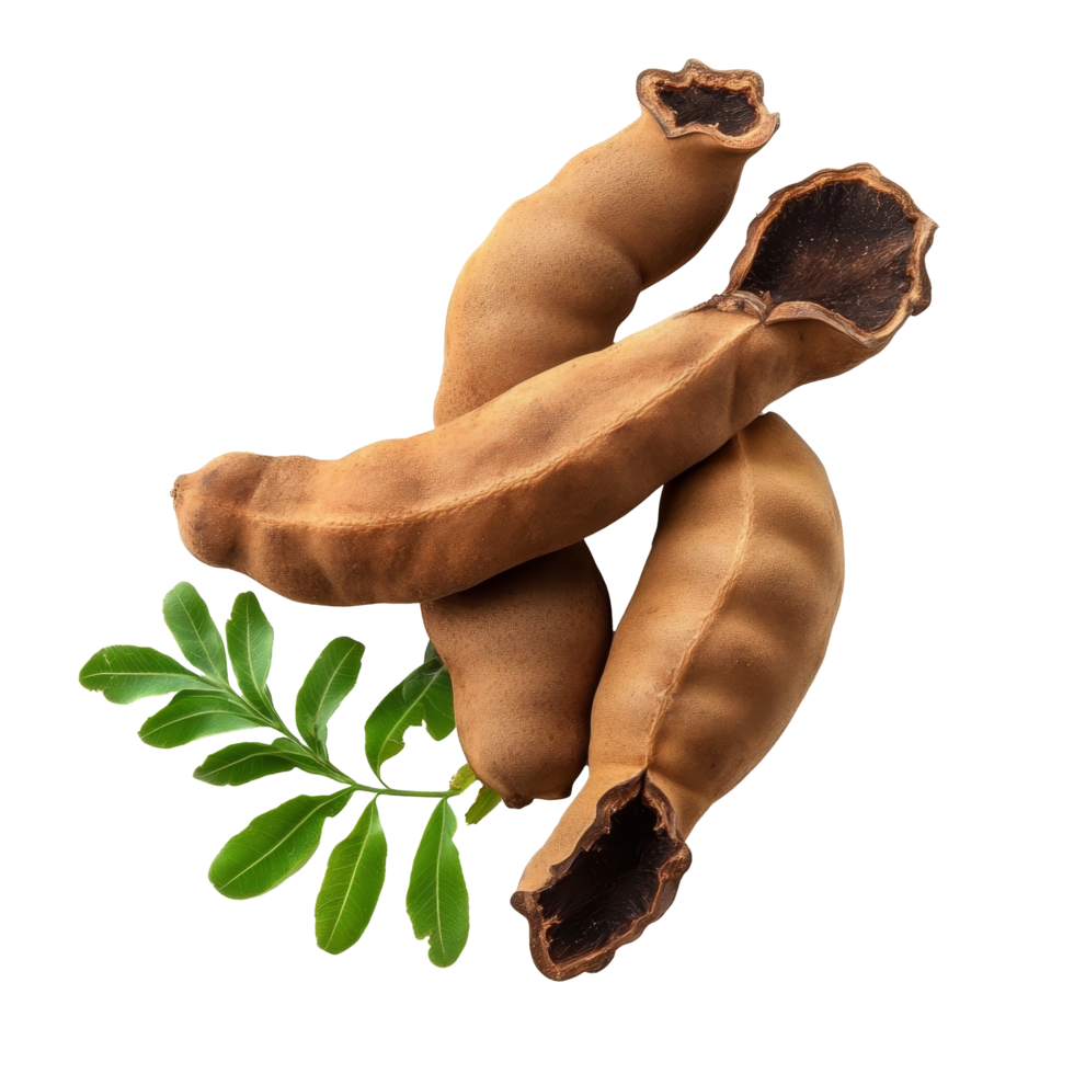 Fresh tamarind fruits and leaves arranged on a transparent background for culinary and health inspiration, fresh tamarind fruits and leaves isolated on transparent background png