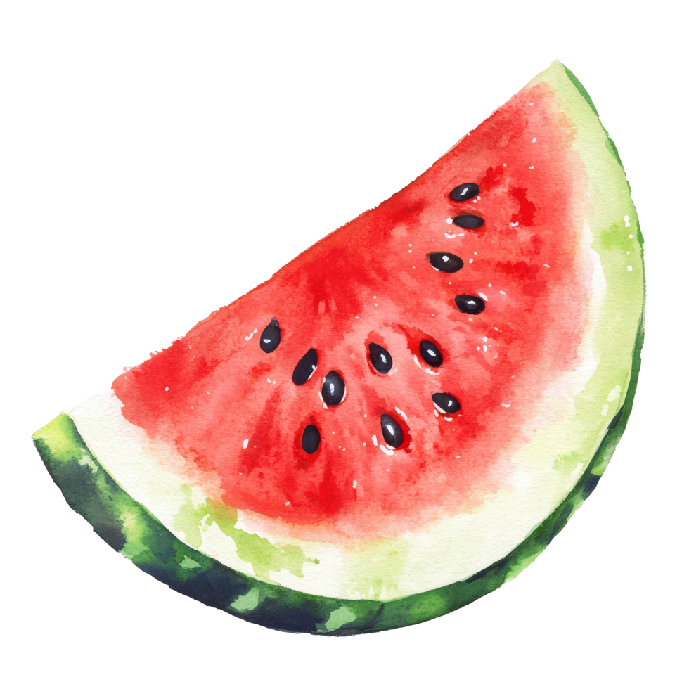 Watercolor painting of a vibrant watermelon slice resting on a plain transparent background, watermelon fruit slice on transparent background png