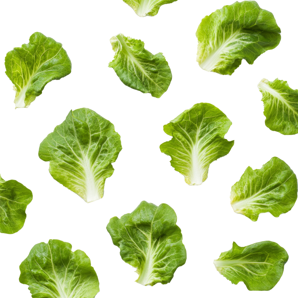 Fresh lettuce leaves scattered on a clean transparent background perfect for healthy recipes and salad preparations, lettuce leaves on transparent background png