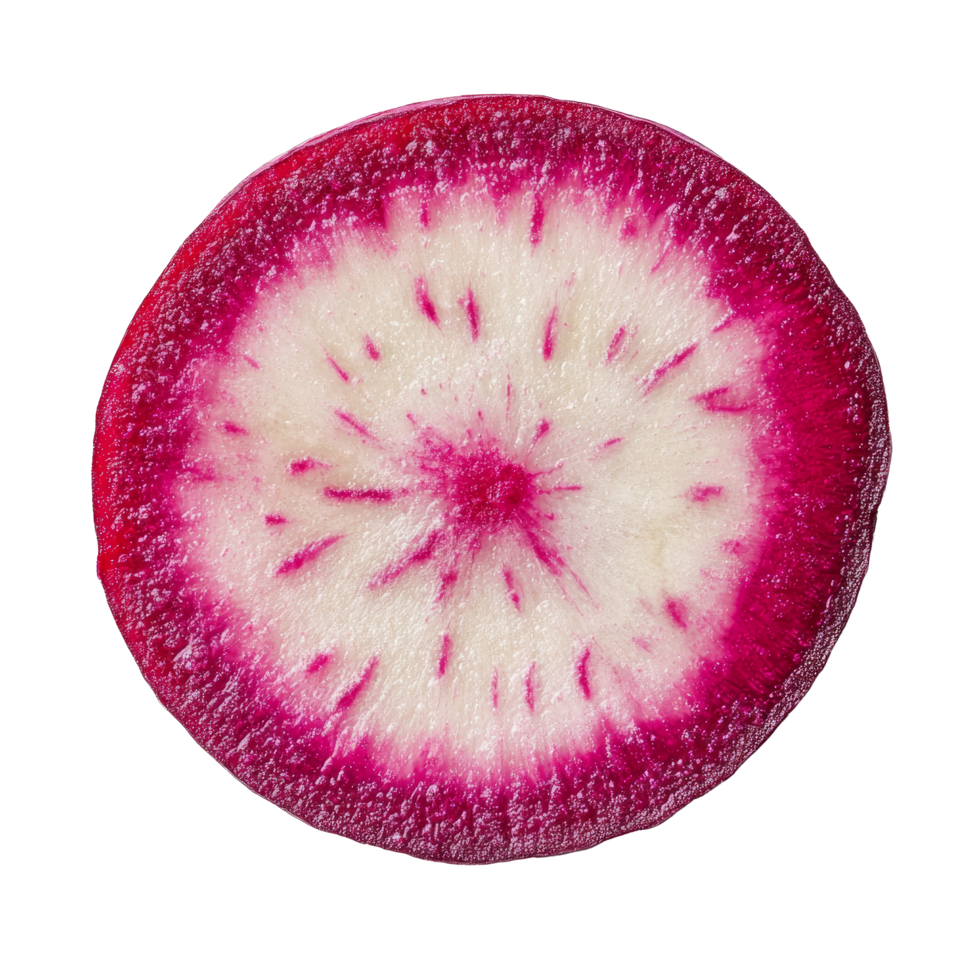 Slice of vibrant red radish laid flat on a clean transparent background, showcasing its intricate patterns and textures, slice red radish on transparent background png