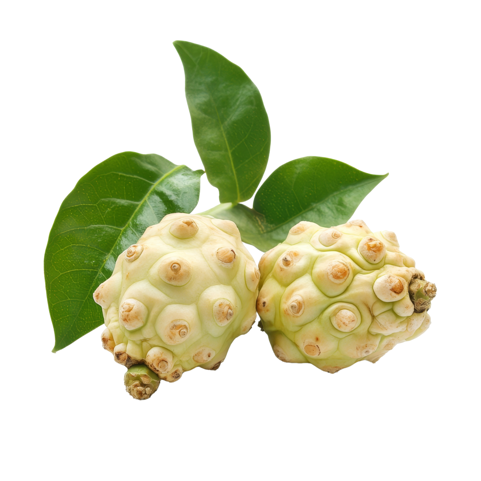 Noni fruit with green leaves isolated on a transparent background showcasing its unique texture and shape, Noni isolated on transparent background png