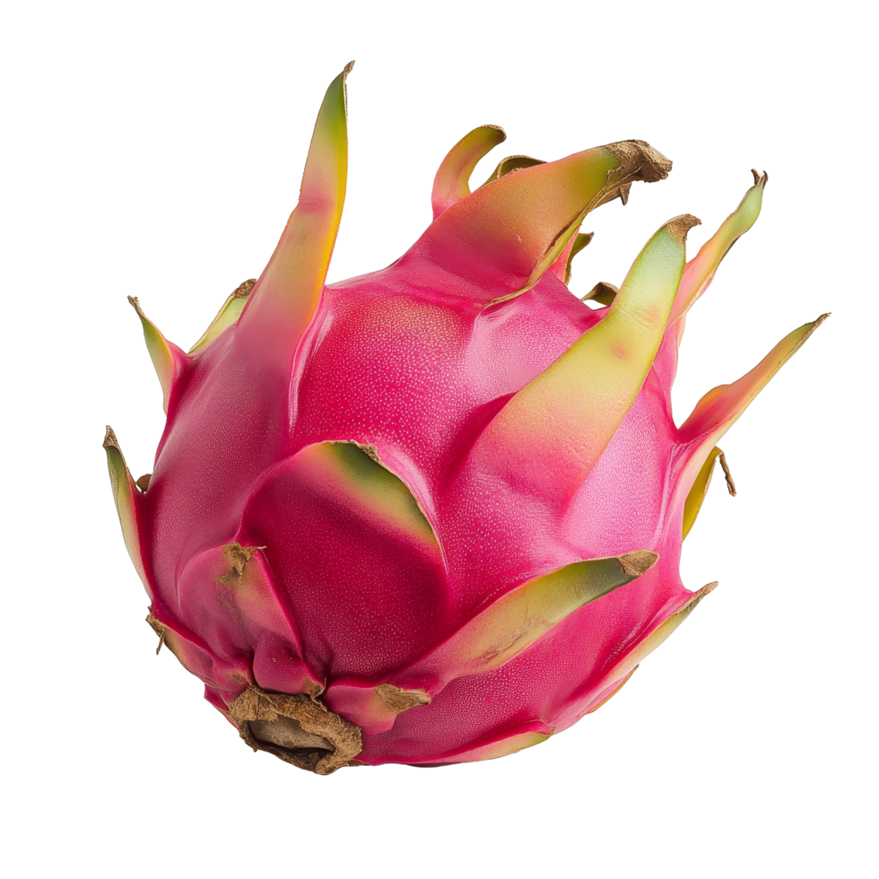 Close up of vibrant dragon fruit displaying its striking pink skin against a clean transparent background, Close up Dragon Fruit on transparent background png