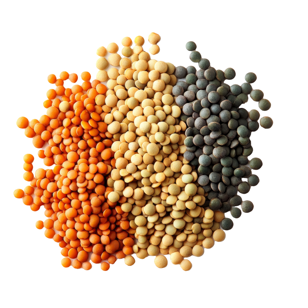 A colorful mix of lentils on a transparent background highlights their beauty and diversity, lentils on transparent background png