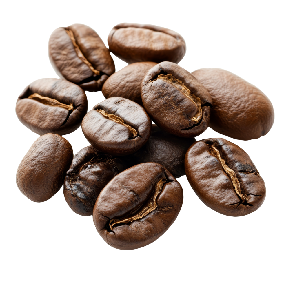 Freshly roasted coffee beans on a transparent background showcasing their rich color and texture in a simple yet elegant arrangement, roasted coffee beans top view on transparent background png