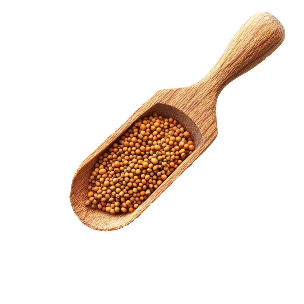 Wooden scoop filled with mustard seeds surrounded by scattered seeds on a transparent background, mustard seeds in wood scoop isolated on transparent background png