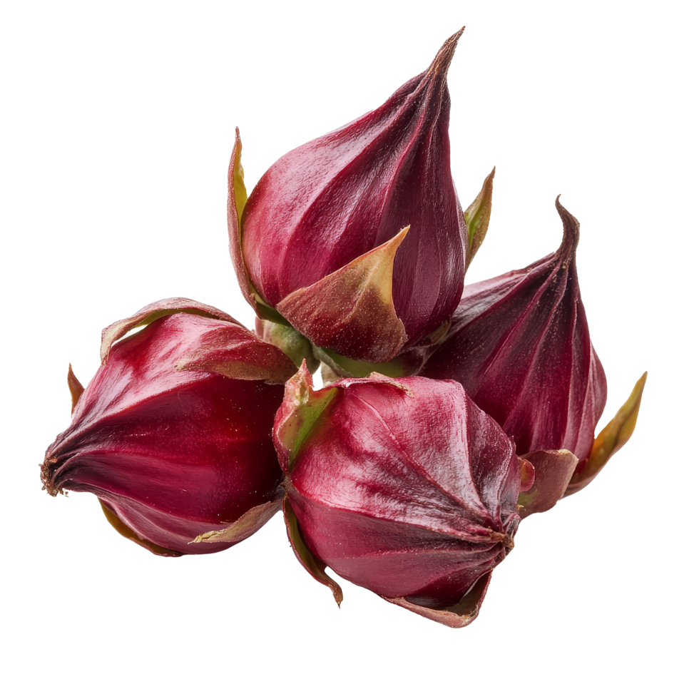 Fresh roselle fruits displayed on a transparent background, showcasing their vibrant color and unique shape, Roselle fruits, isolated on transparent background png