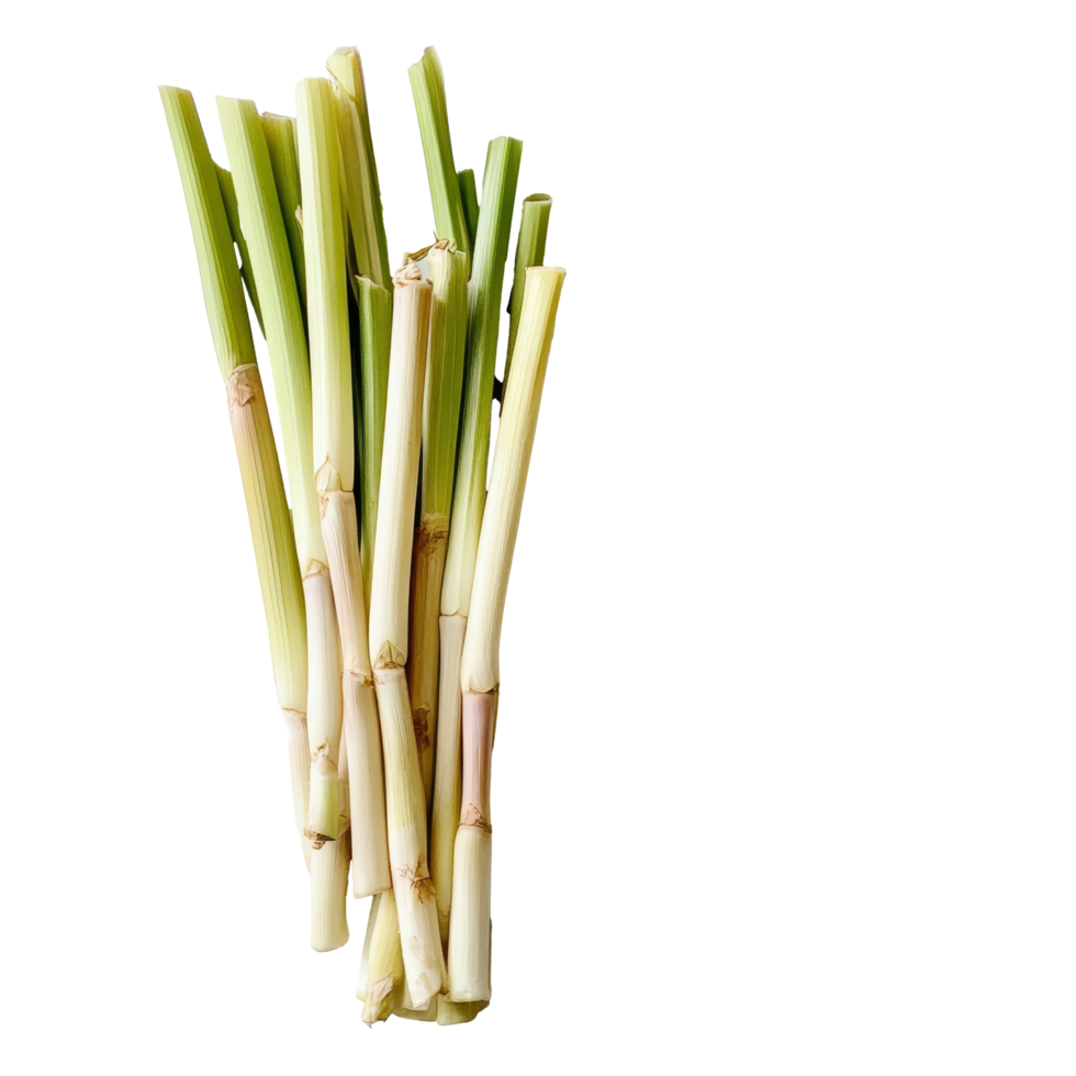 Lemongrass stalks neatly displayed on a transparent background, highlighting their vibrant green and pale yellow hues, slice lemongrass on transparent background png