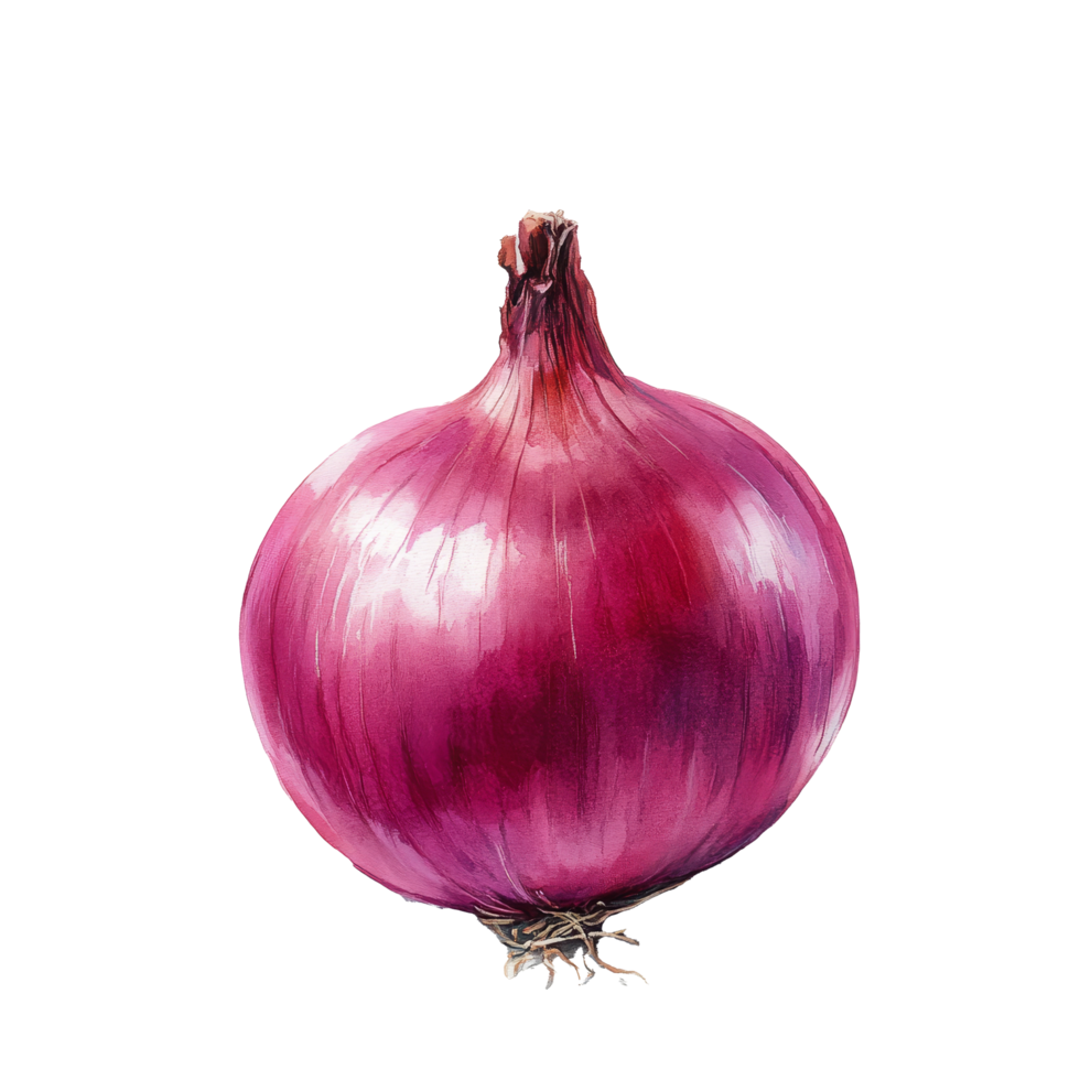 Fresh red onion resting on a clean transparent background, showcasing its vibrant color and natural texture, onion on transparent background png