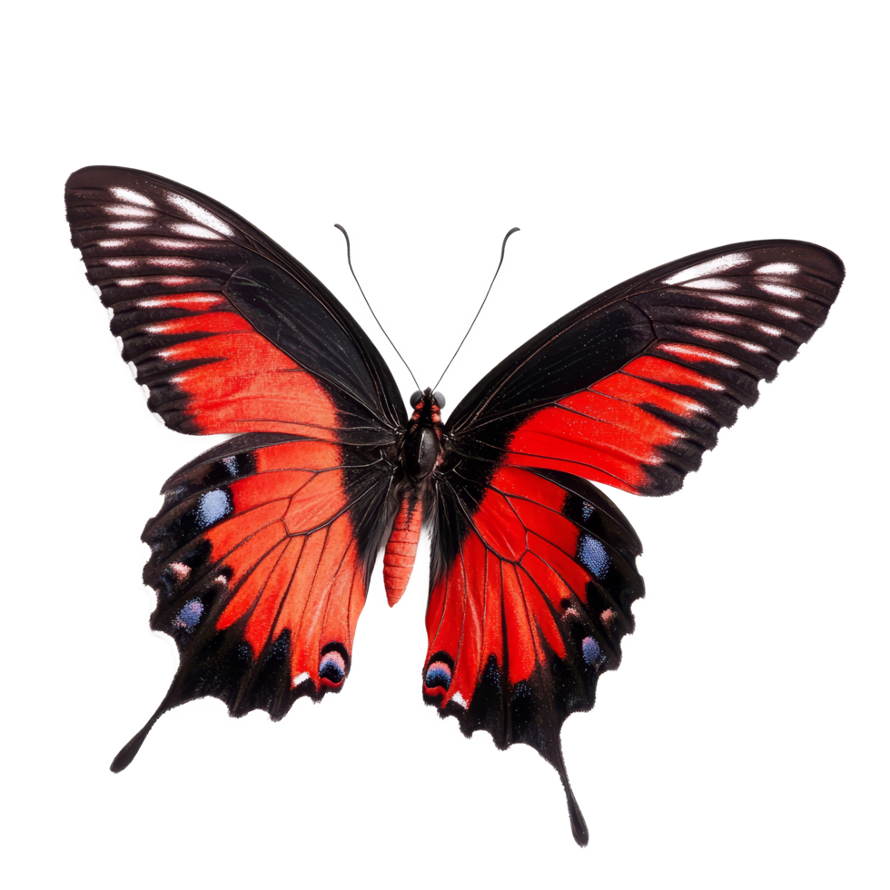 Colorful butterfly resting on transparent surface showcasing vivid hues and intricate wing patterns, 3D Butterfly on transparent background png