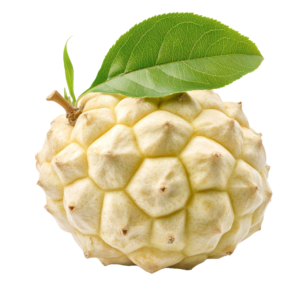 Fresh custard apple with vibrant green leaf isolated on a clean transparent background for culinary use, Fresh custard apple with leaf isolated on transparent backgroundfile png