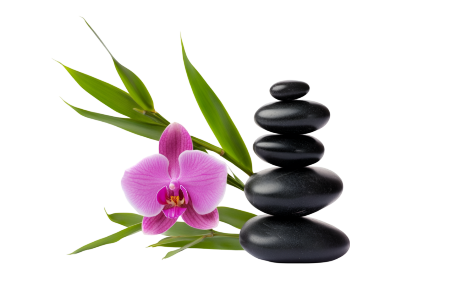 Zen stones and orchid with bamboo leaves on a transparent background png