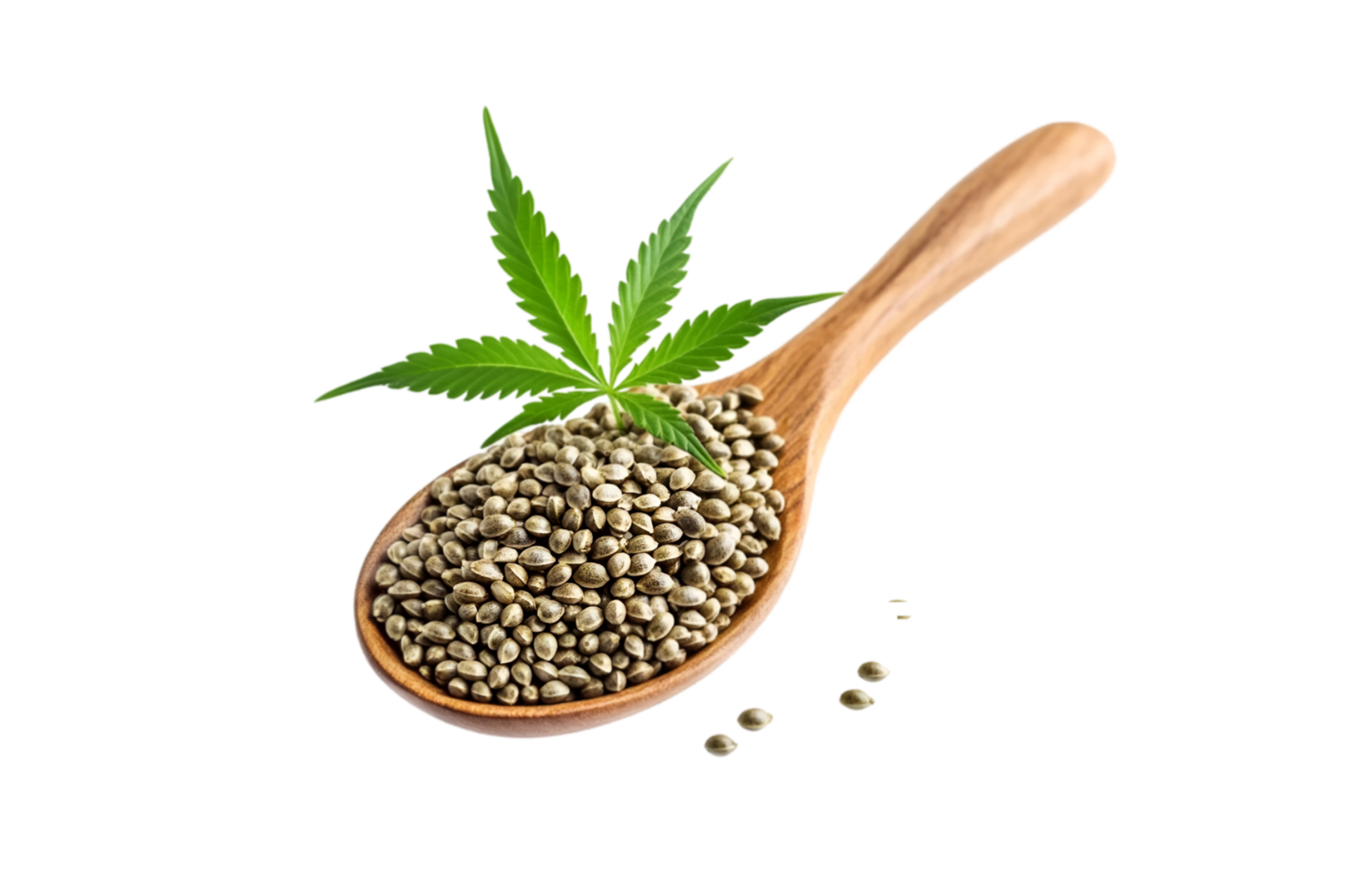 Hemp seeds in a wooden spoon with cannabis leaf isolated on a transparent background png