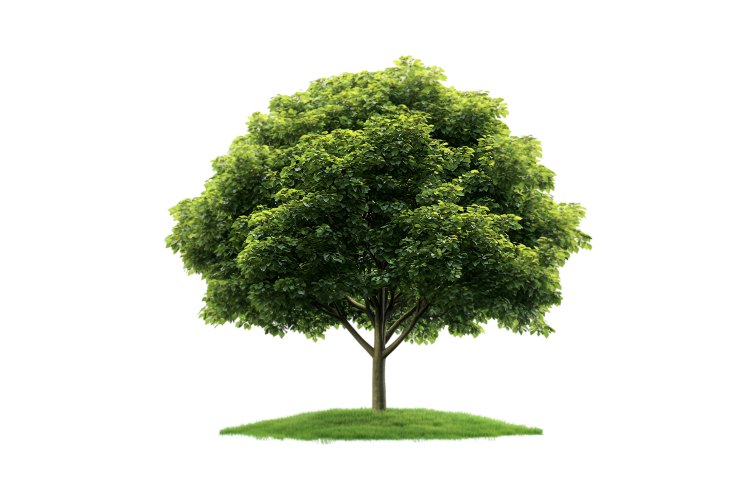 Green tree with grass isolated on a transparent background png