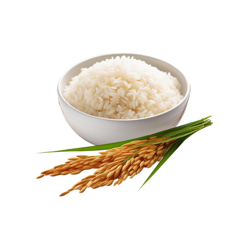 White bowl of rice with bunch of rice plant on transparent background png