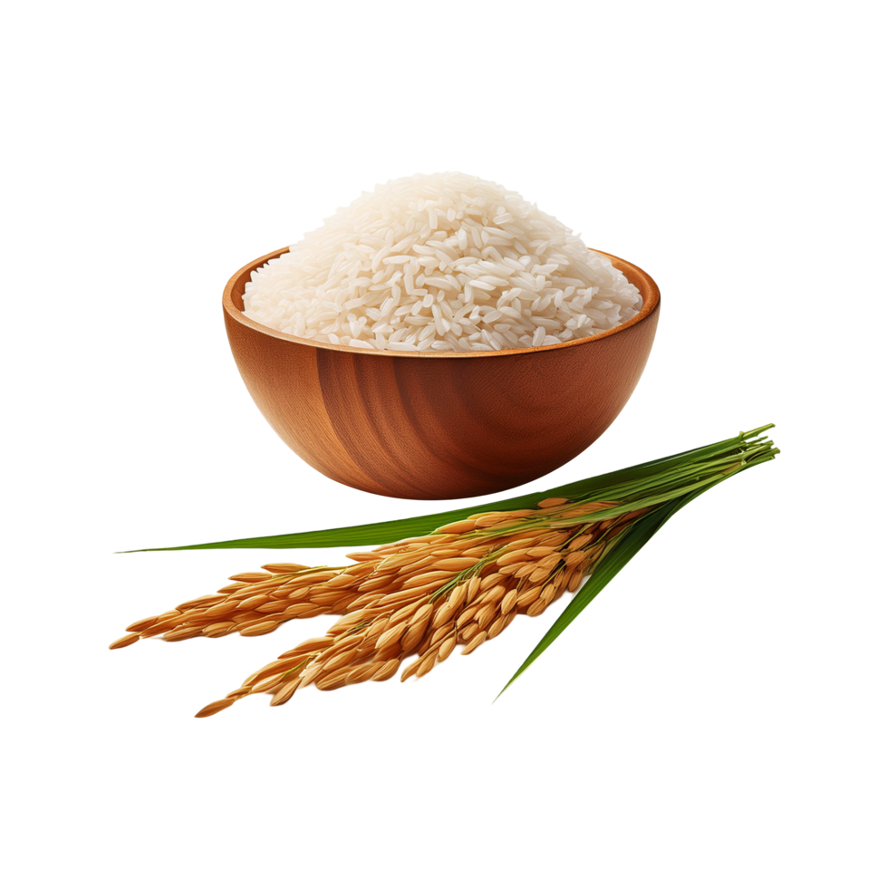Wooden bowl of rice with bunch of rice plant on transparent background png
