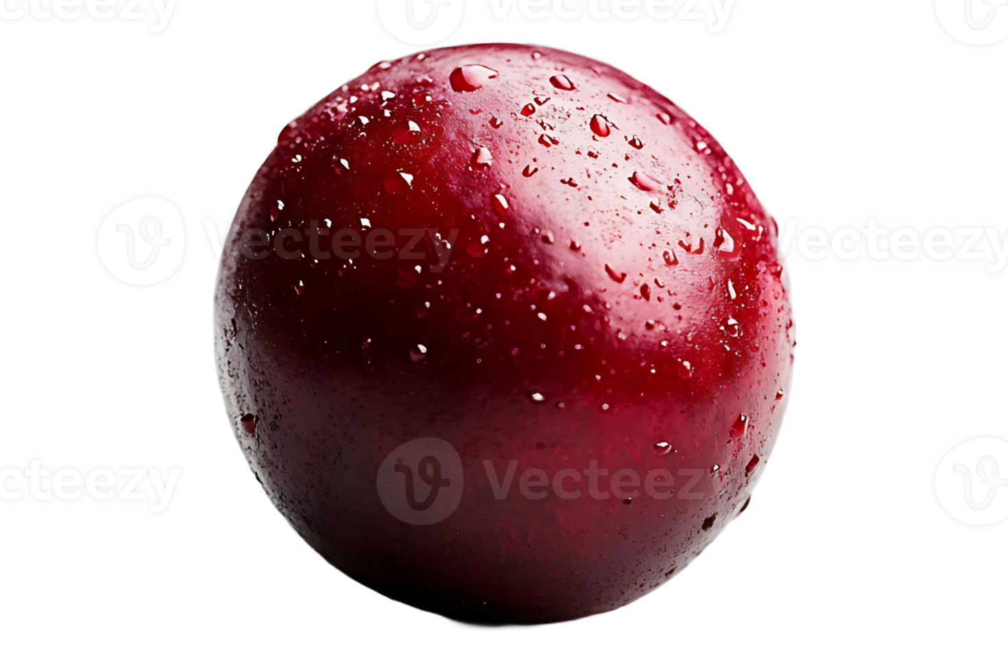 Cranberry isolated on transparent background. png
