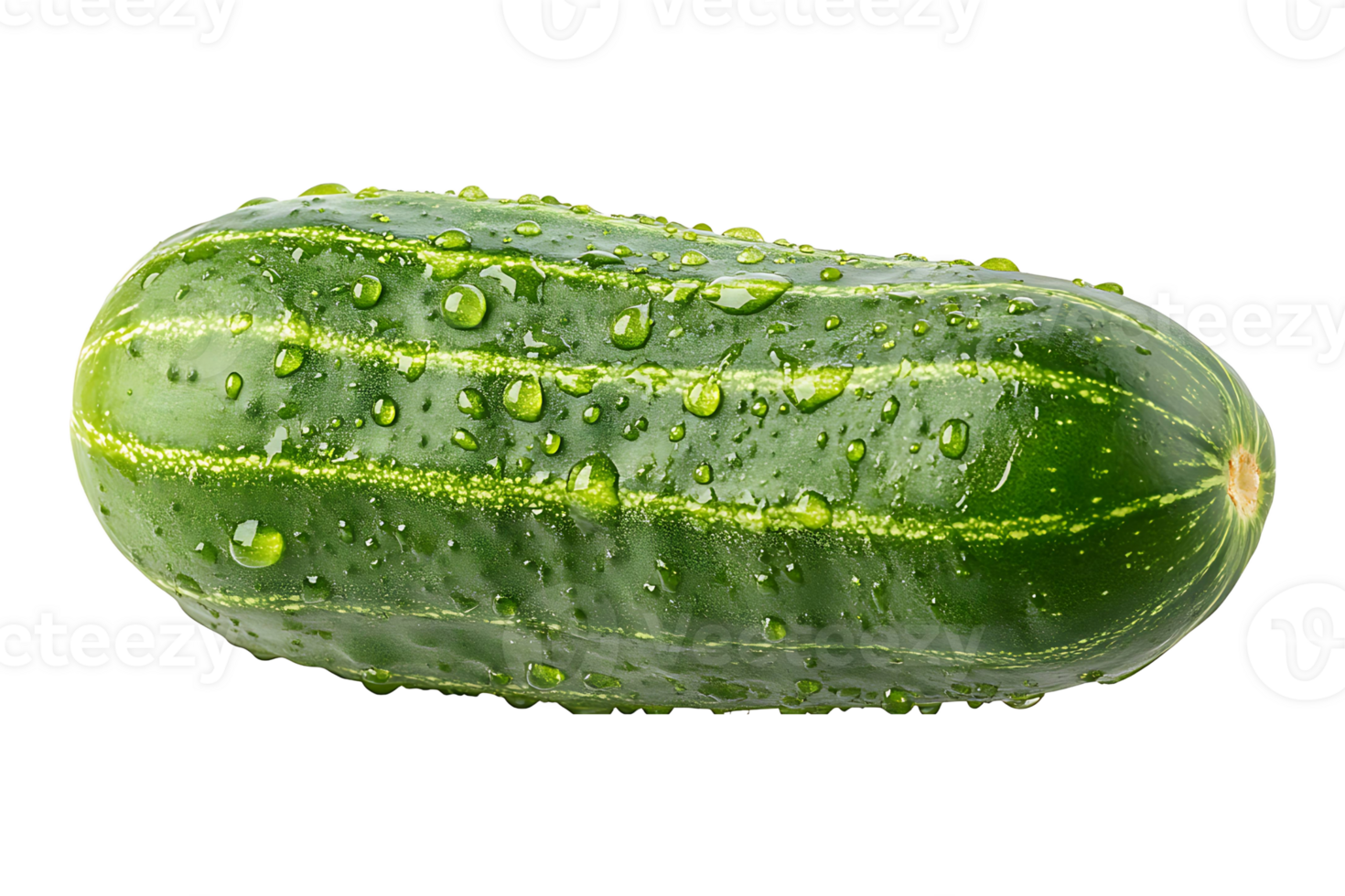 Cucumber with water droplets isolated on transparent background. png