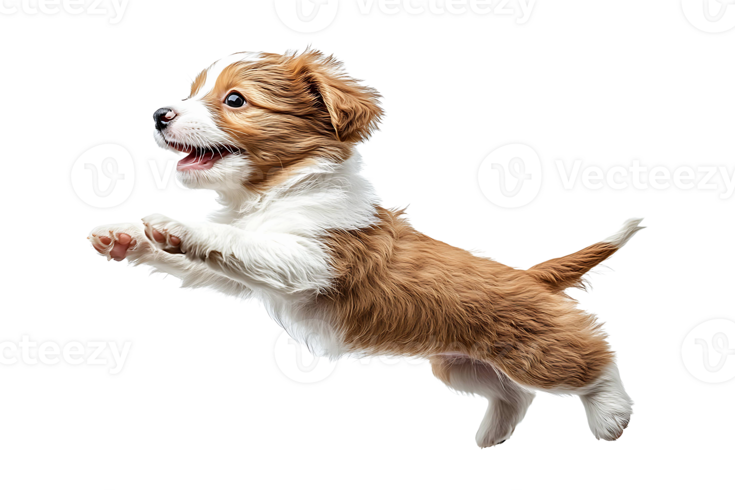 Floating puppy jumping trying to bite something isolated on transparent background. png