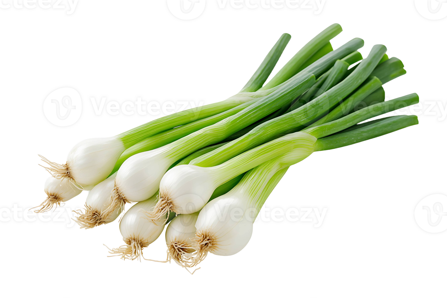 Green onion isolated on transparent background. png