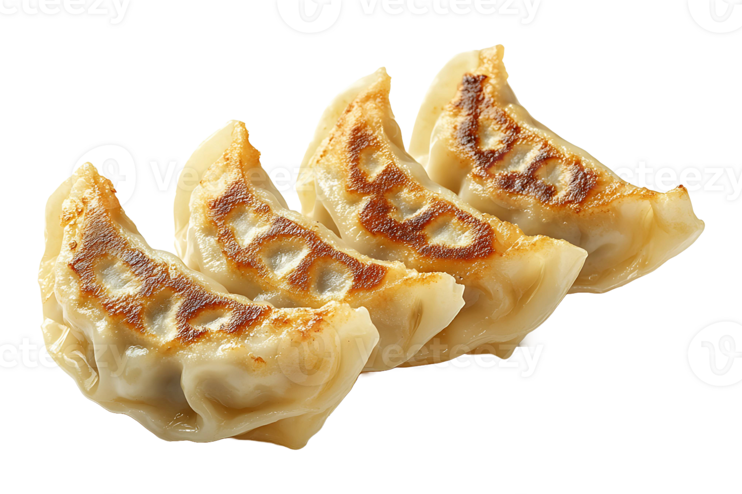 Gyoza dumplings isolated on transparent background. png