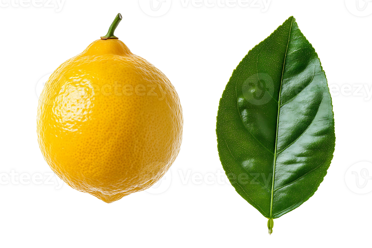 Lemon paired with a leaf isolated on transparent background. png