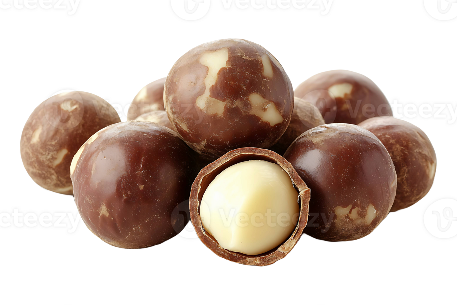 Macadamia nuts isolated on transparent background. png
