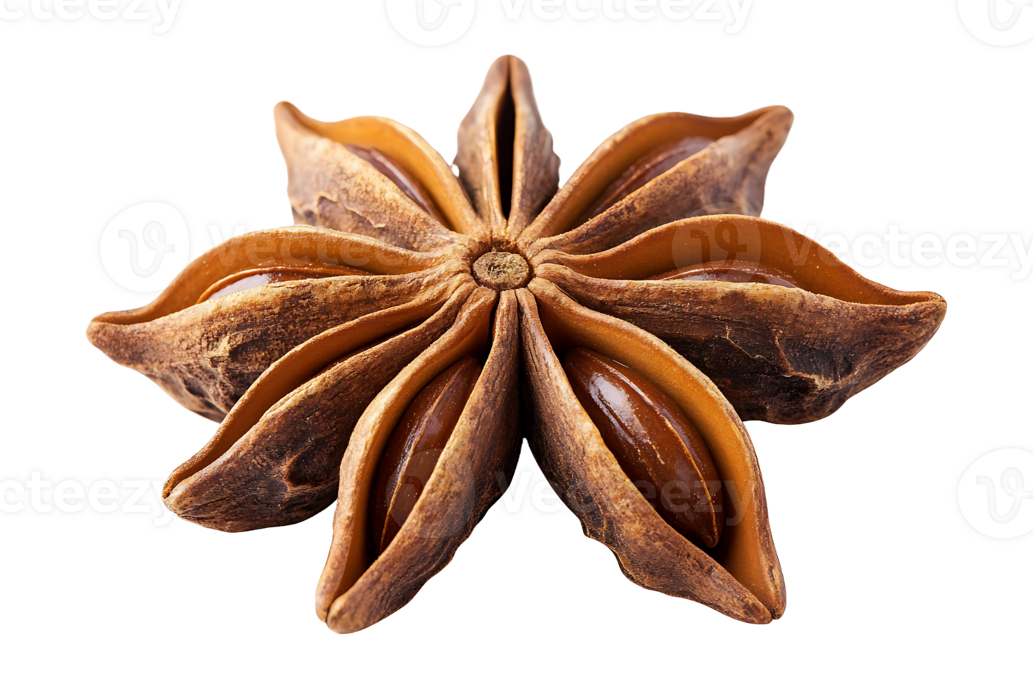Star anise spice isolated on transparent background. png