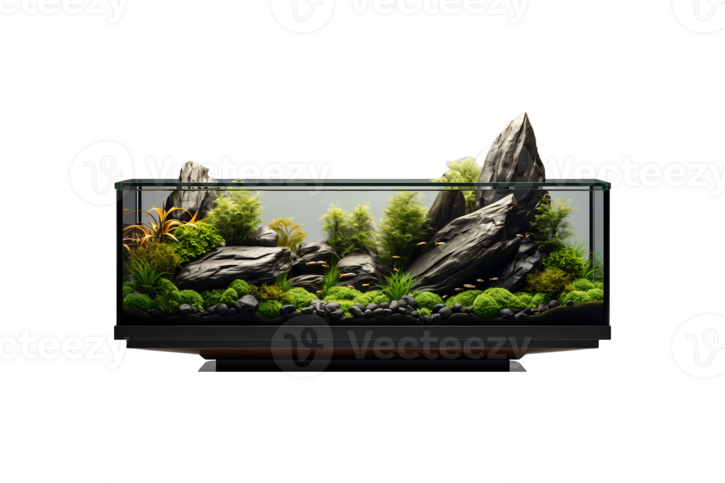 Aquarium Stands on transparent background. png