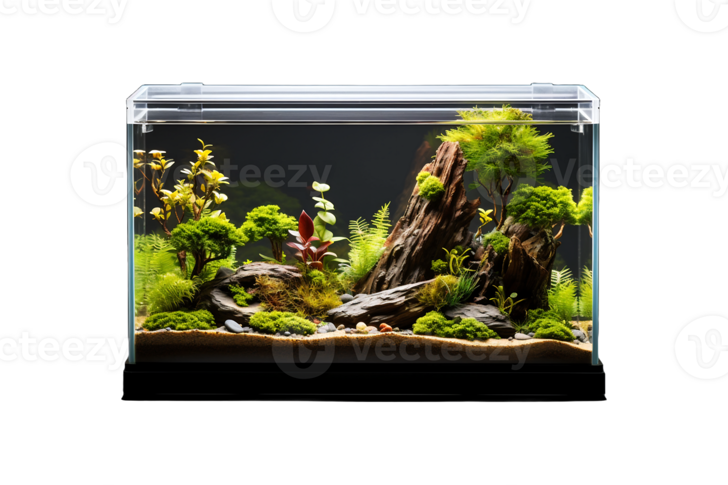 Aquarium Tank on transparent background. png