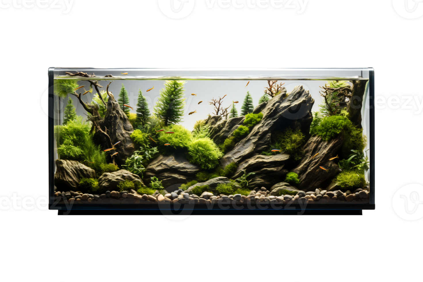 Aquarium on transparent background. png