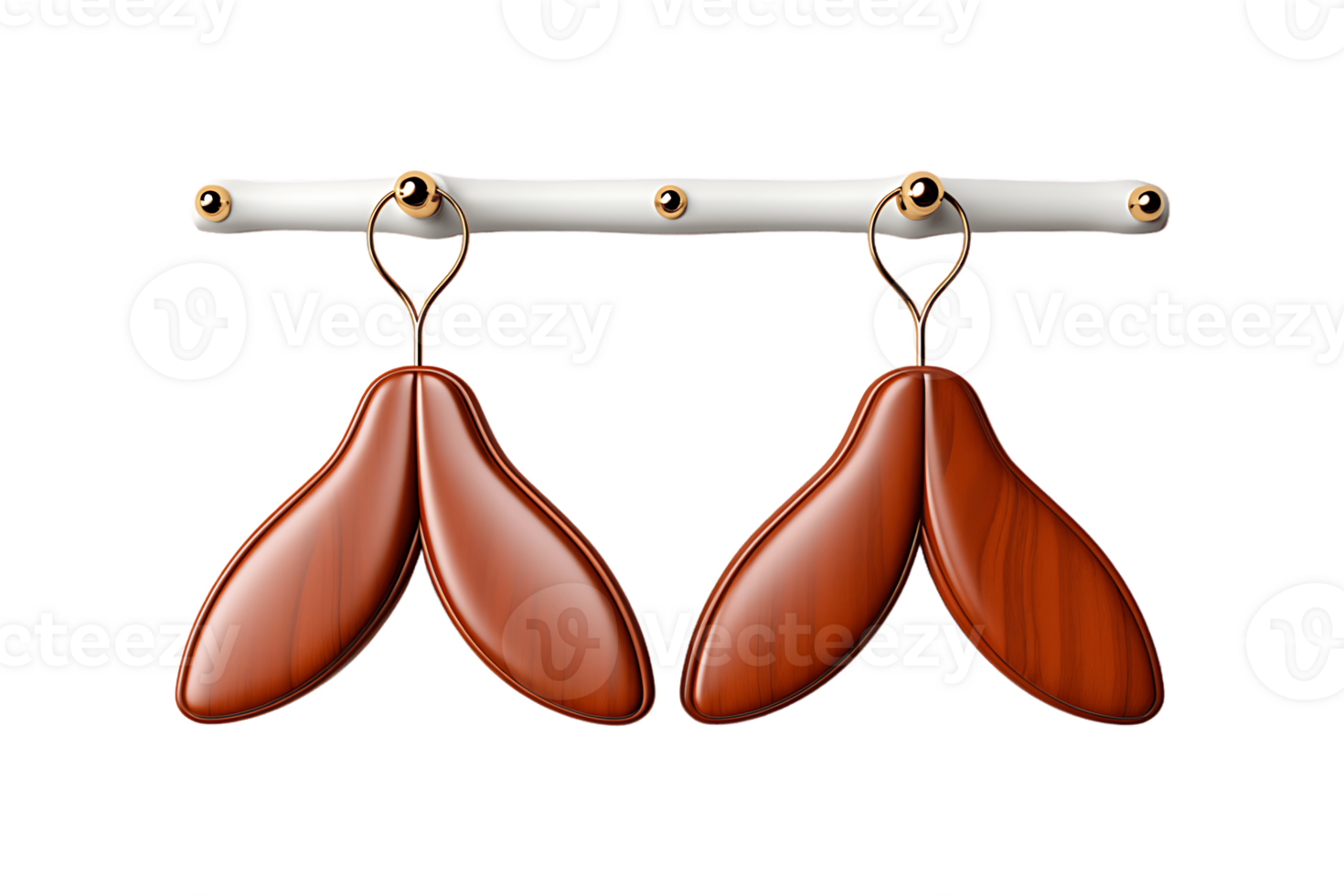 Blouse Hooks on transparent background. png