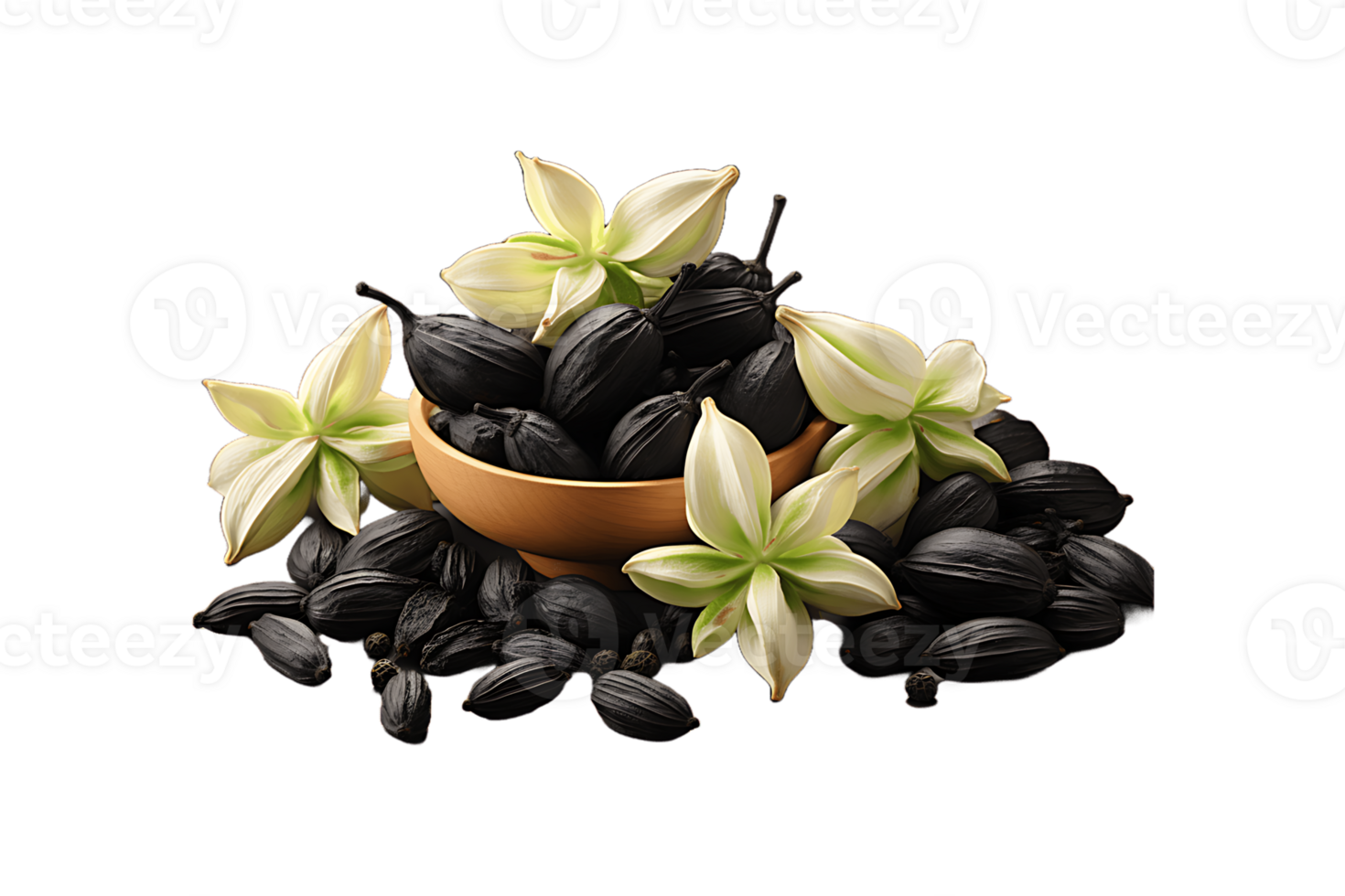 Black Cardamom on transparent background. png