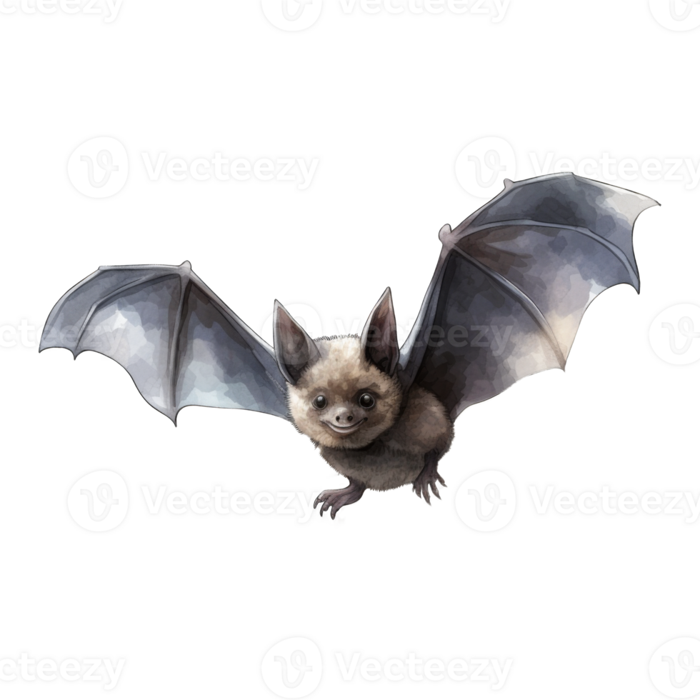 Watercolor Illustration of a Smiling Bat with Wings Spread png