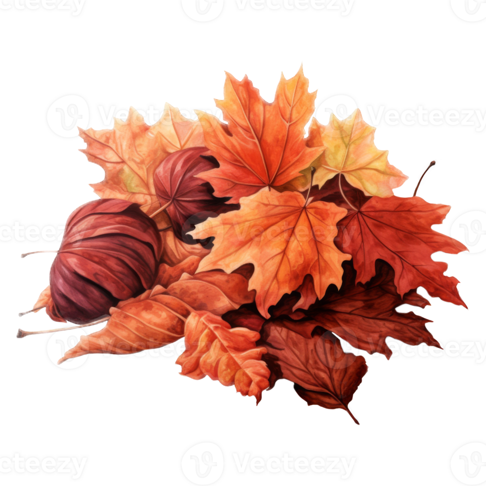 A Pile of Fallen Autumn Leaves in Various Shades of Red, Orange, and Yellow png