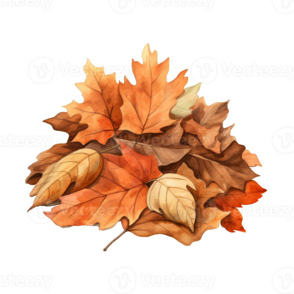 Watercolor Painting of a Pile of Autumn Leaves png